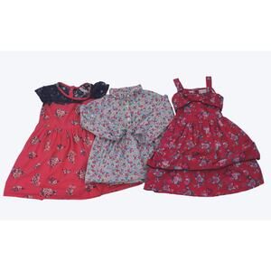Lot of Girls 2 Dresses (2-3 years) 1 Top (2 years) Floral Chalk Carters